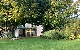 Wisteria Guest House